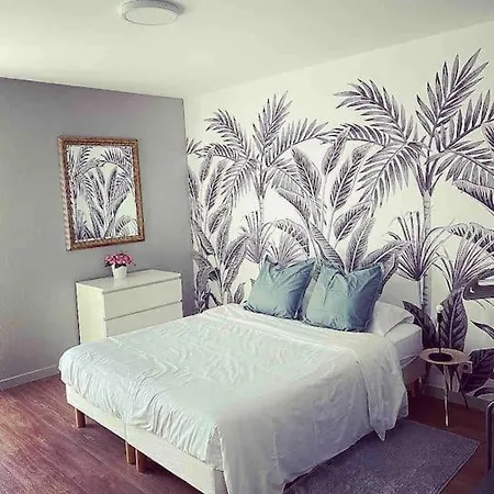 Coup De Coeur A Centre Avec Parking コルマール