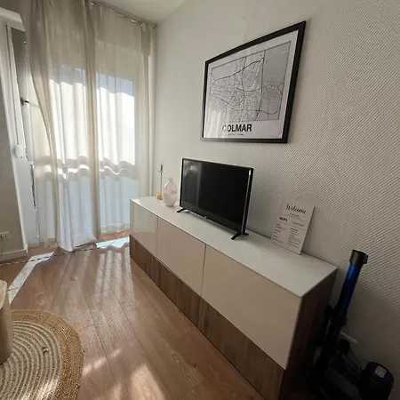 Au Coeur De Colmar Avec Parking - Centre Ville Calme * Κολμάρ