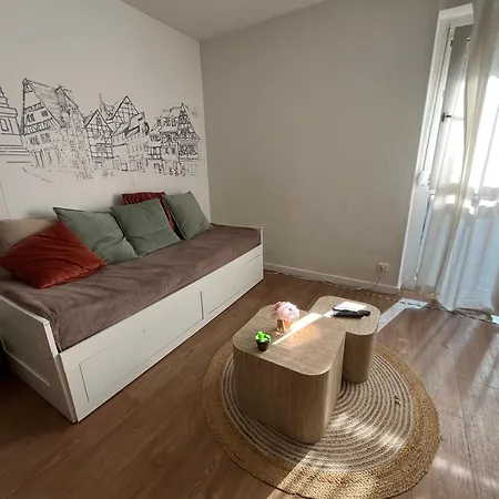 Au Coeur De Colmar Avec Parking - Centre Ville Calme Κολμάρ